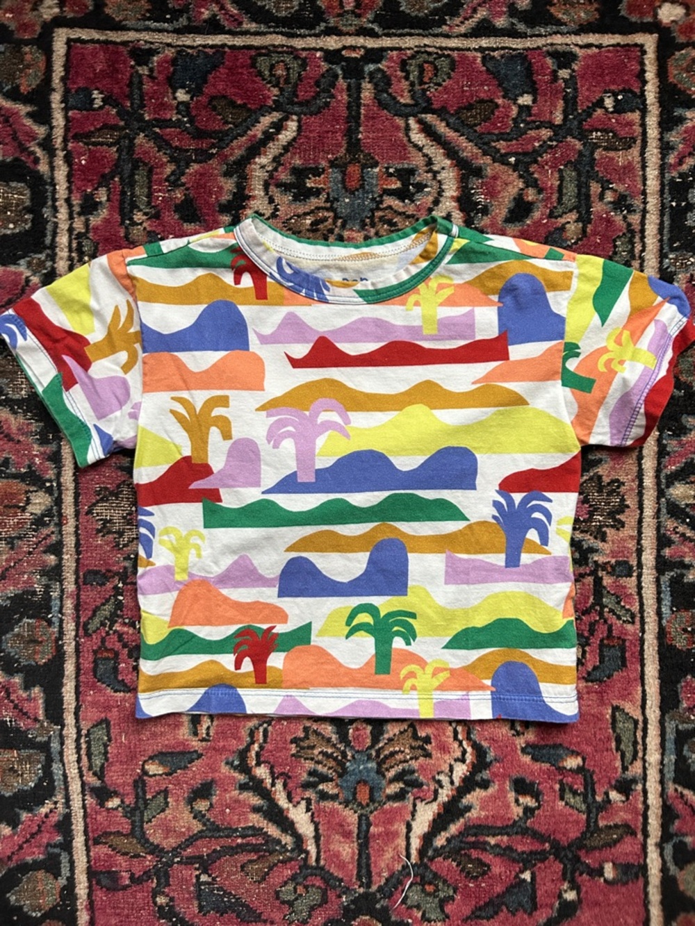 Bento/Fabula Kids Tee 4Y